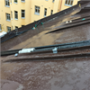 Raychem GM-2X värmekabel för tak