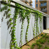 Seduna SGW växtvajer på fasad