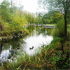 Elastoseal geomembran, Ornamentaldamm Stockholm-Sweden