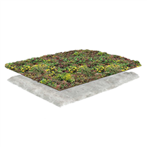 Sempergreen Norden Bas 2-27˚ sedumsystem Sempergreen Norden Bas 2-27˚ sedumsystem