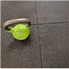 Vibisol® Gymgolv