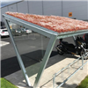 KNM cykelparkering-tak sedum