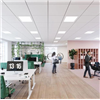 Ecophon Lighting™ undertaksbelysning i kontorsmiljö