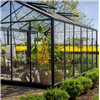 Willab Garden Maxi växthus i trädgård, svart