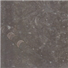 Golvimporten Naturstensplattor av kalksten, gråbrun Borghamn