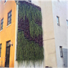 BGreen Living Wall-IT gröna väggar