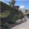 BGreen Living Wall-IT gröna väggar