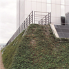 Vector Wall® Grön, gröna väggar - gabioner med gröna växter, Hotel Hilton, Köpenhamn