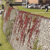 Vector Wall® gabioner med naturlig växtlighet