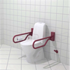 Trident Utrustning för toaletter, Uppfällbara, väggfasta